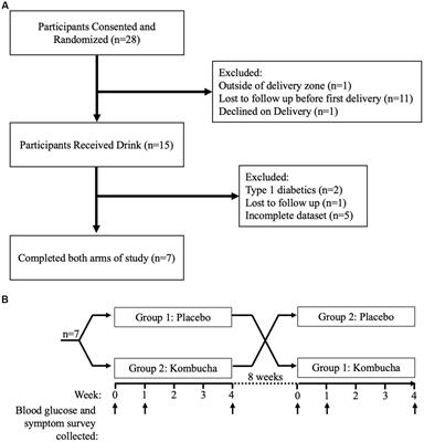 Kombucha tea as an anti-hyperglycemic agent in humans with diabetes – a randomized controlled pilot investigation